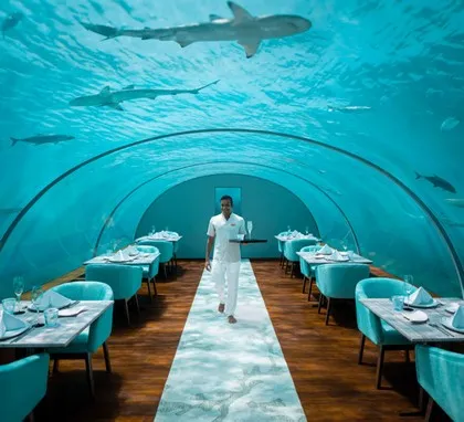 Cena en Conrad Maldives