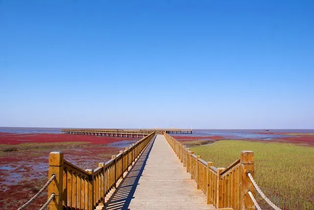 Playa Roja en Panjin, China