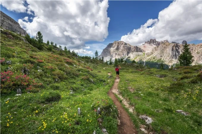 Viaje de verano en los Alpes